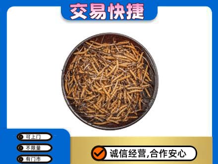 铜鼓县高价回收散虫草